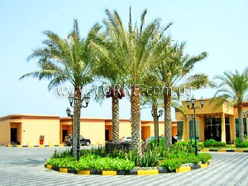 Вид Royal Beach Fujairah 4*