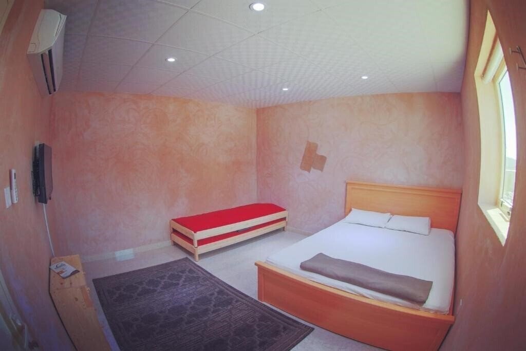 Вид Alshahad Farm 1*