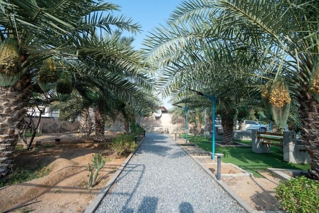 Вид Farm Al Medfek 1*