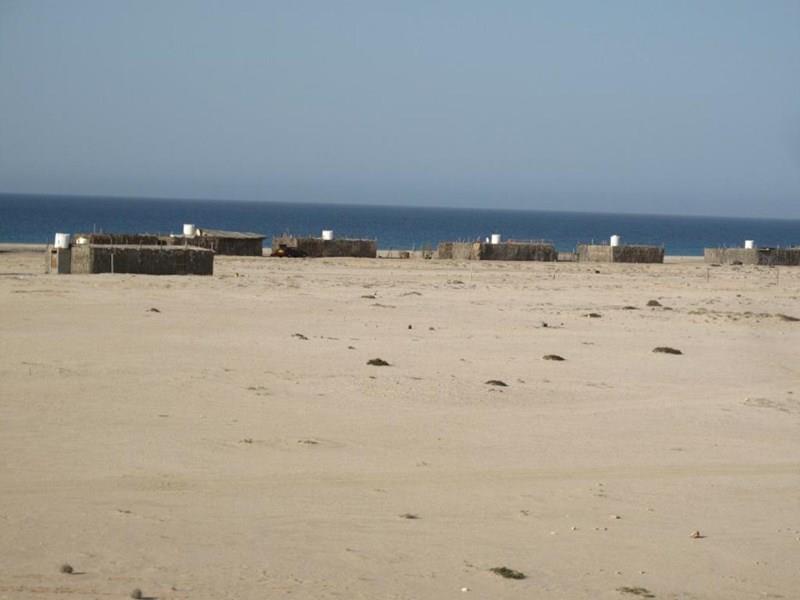 Отель Ras Al Hadd Beach Hotel 2*