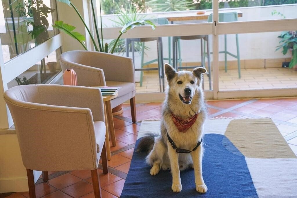 Панорама Montemar 3*