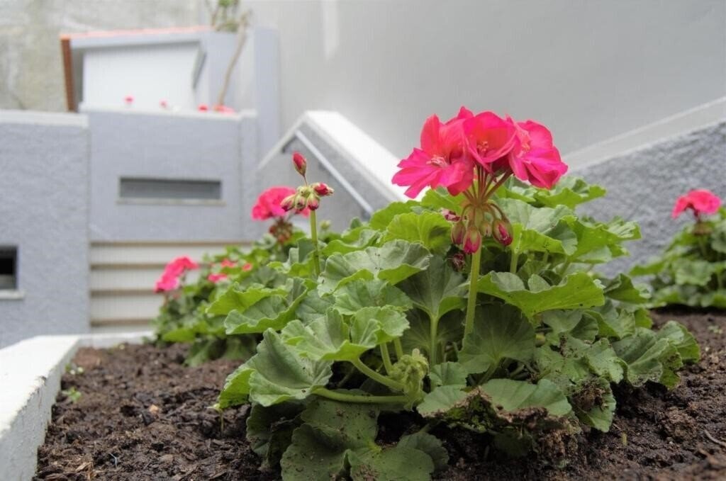 Територія Vitoria Apartamentos by Petit Hotels 3*