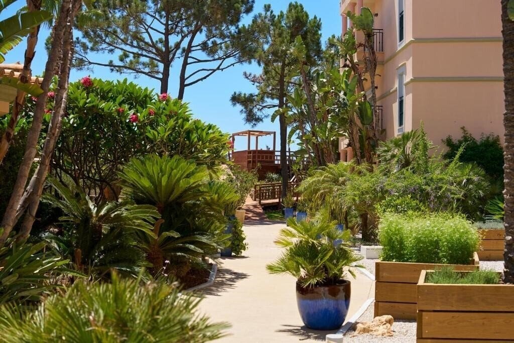 Вид Tui Blue Falesia 4*