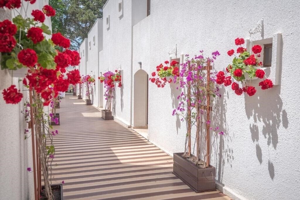 Изображение Mera Resort 4*