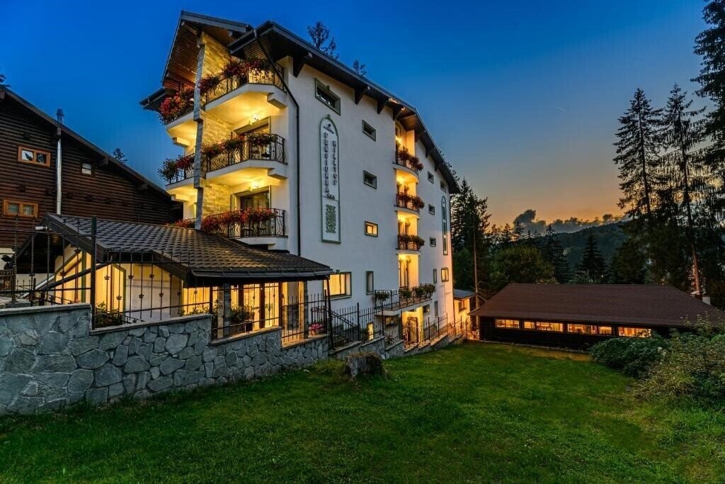 Отель Pensiunea Hilltop 3*