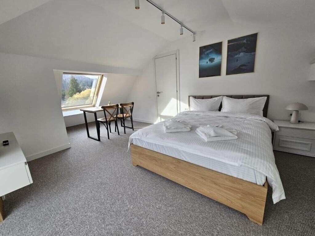 Фото Pensiunea Igloo 3*