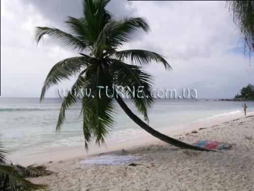 Фотографія Villa Mon Reve вилла