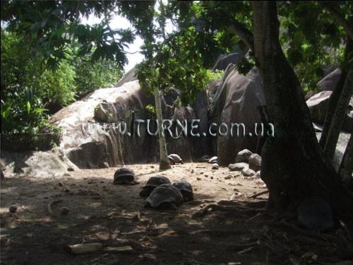 Фото Villa Mon Reve вилла