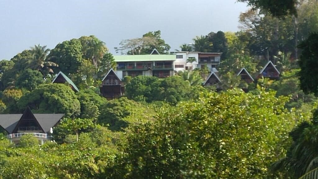 Отель Mango Lodge 3*