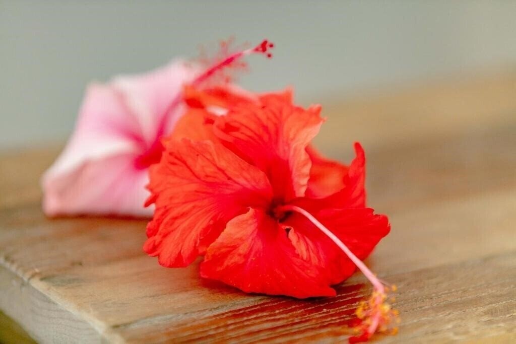 Панорама Village Du Pecheur 4*