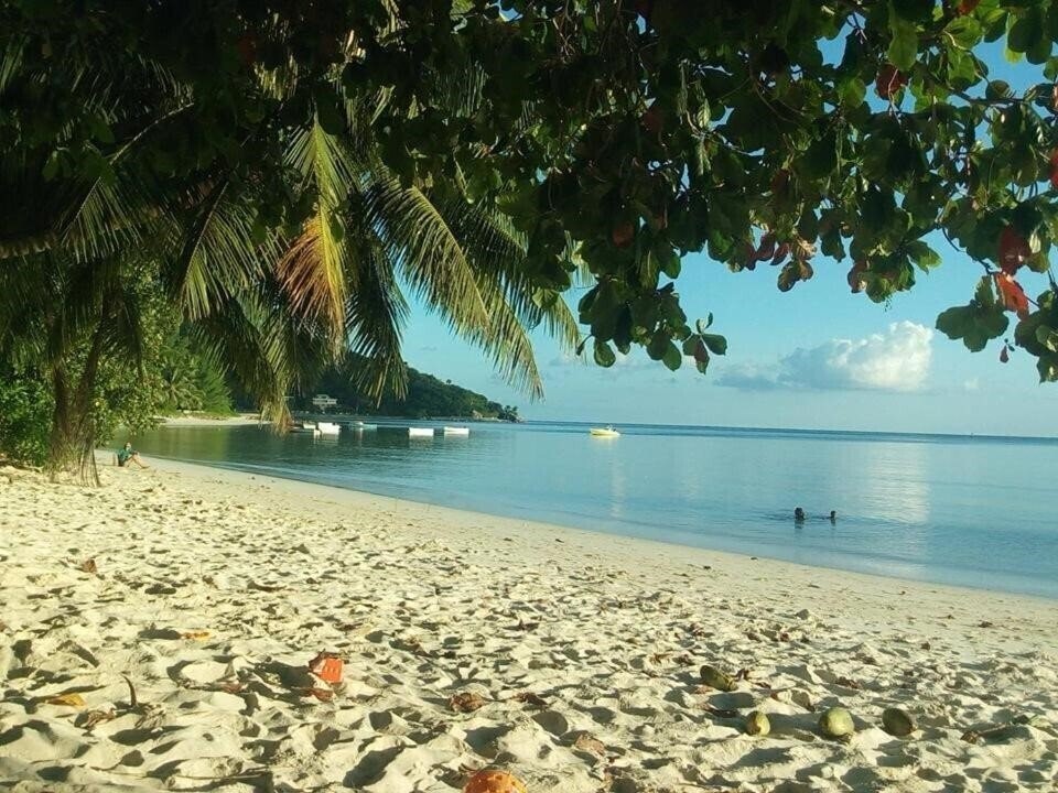 Территория Palm Beach Hotel 3*