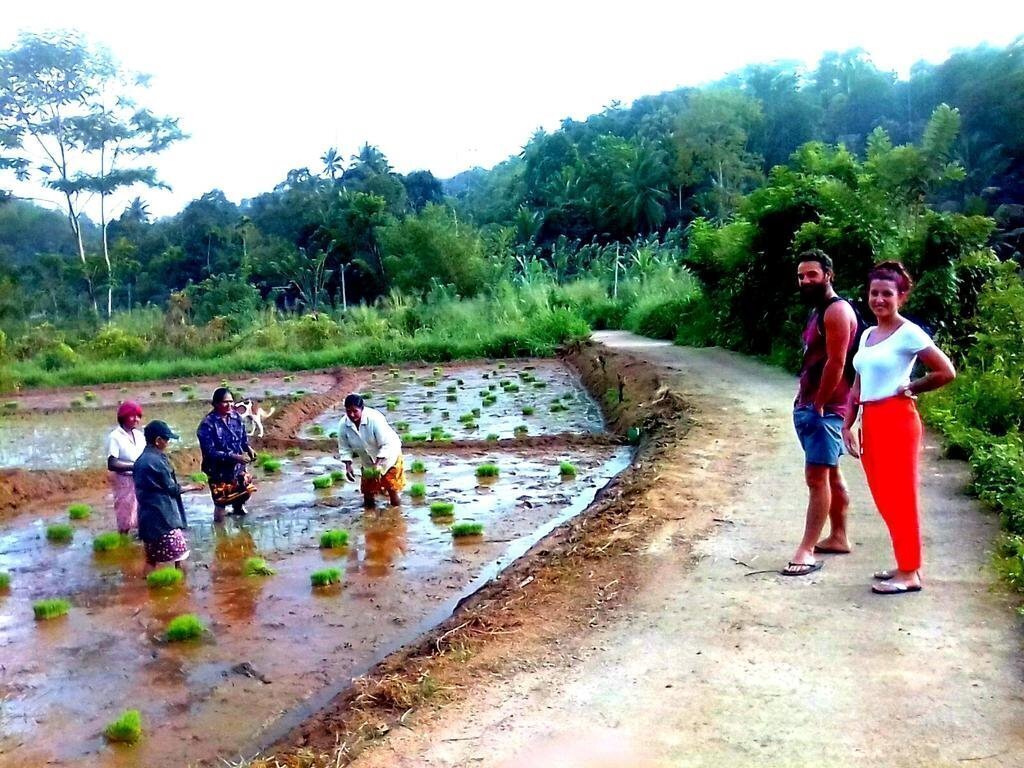 Панорама Ananda Home Stay 1*