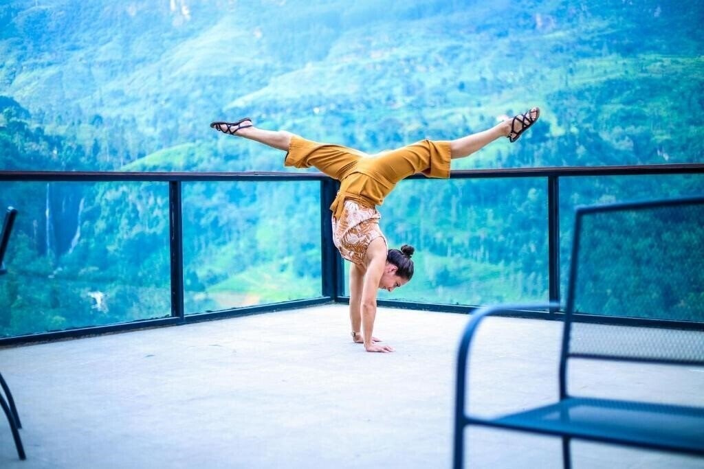 Вид Oak Ray Tea Bush 4*