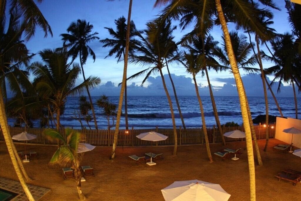 Панорама The Beach Hotel Oasis Bridge 3*