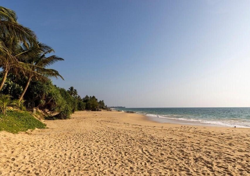 Панорама Sea Breeze Ambalangoda 2*