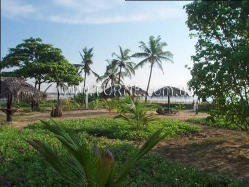 Отель Star Dust Beach 2*