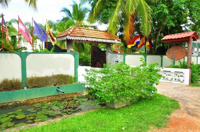 Вид Bougain Villa Guest 3*