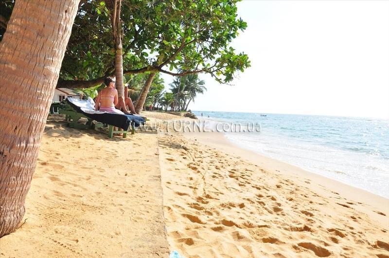 Вид Ypsylon Resort 2*