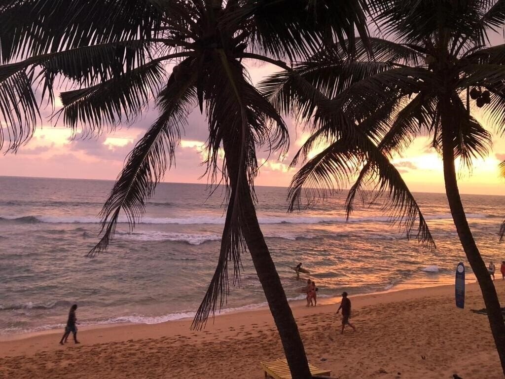 Панорама Hansa Surf 2*