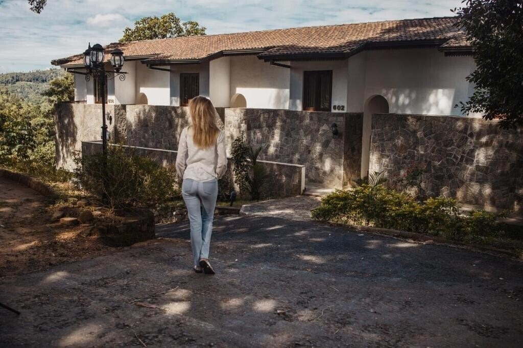 Панорама Tree Of Life 4*