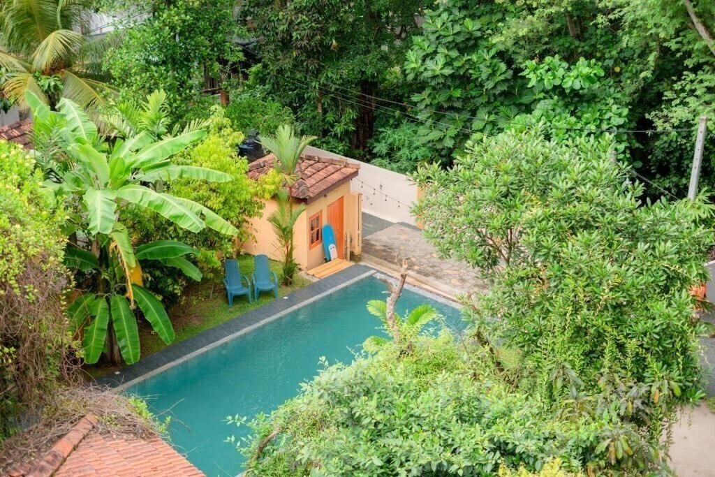 Территория Monkey Villa 3*
