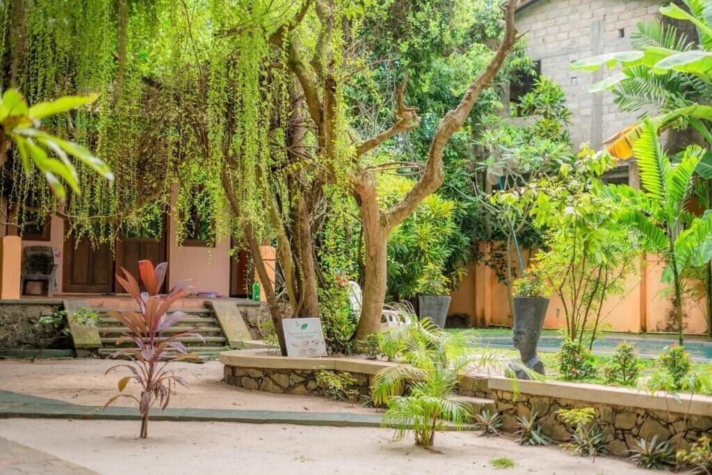 Панорама Monkey Villa 3*