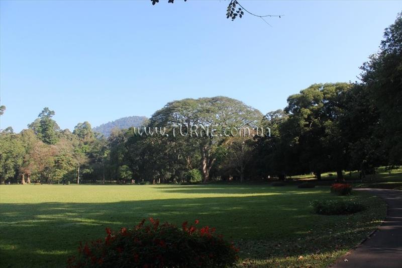 Територія Olenka Beach Hotel 2*