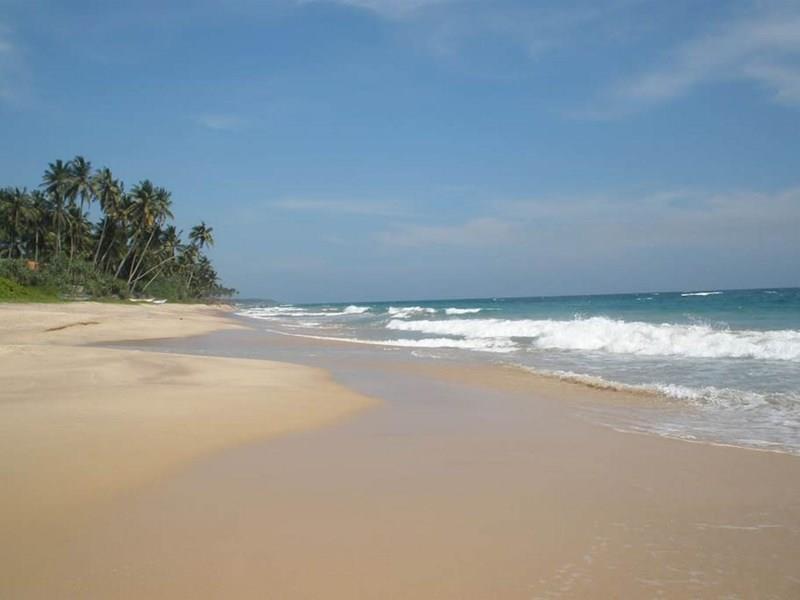 Апартаменты Luxury Beach Villas 4*