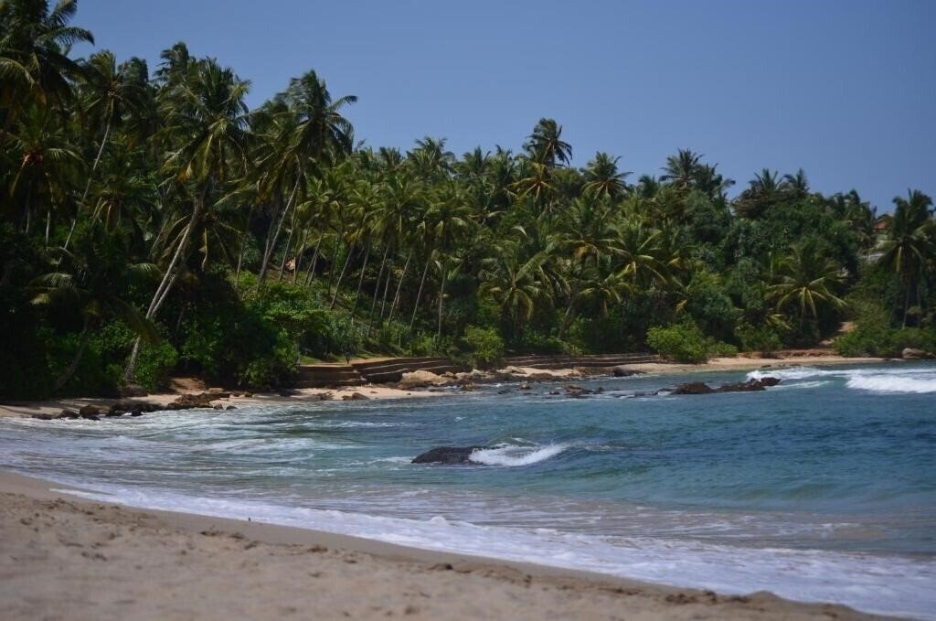 Территория Ashford Beach Guesthouse 2*