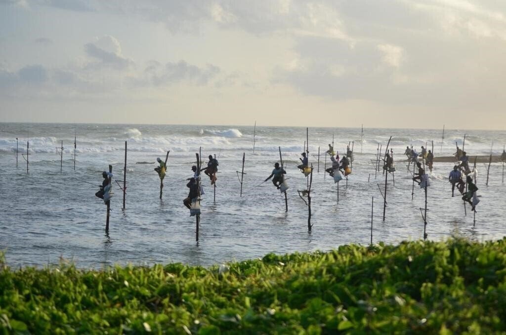 Апартаменты Ashford Beach Guesthouse 2*