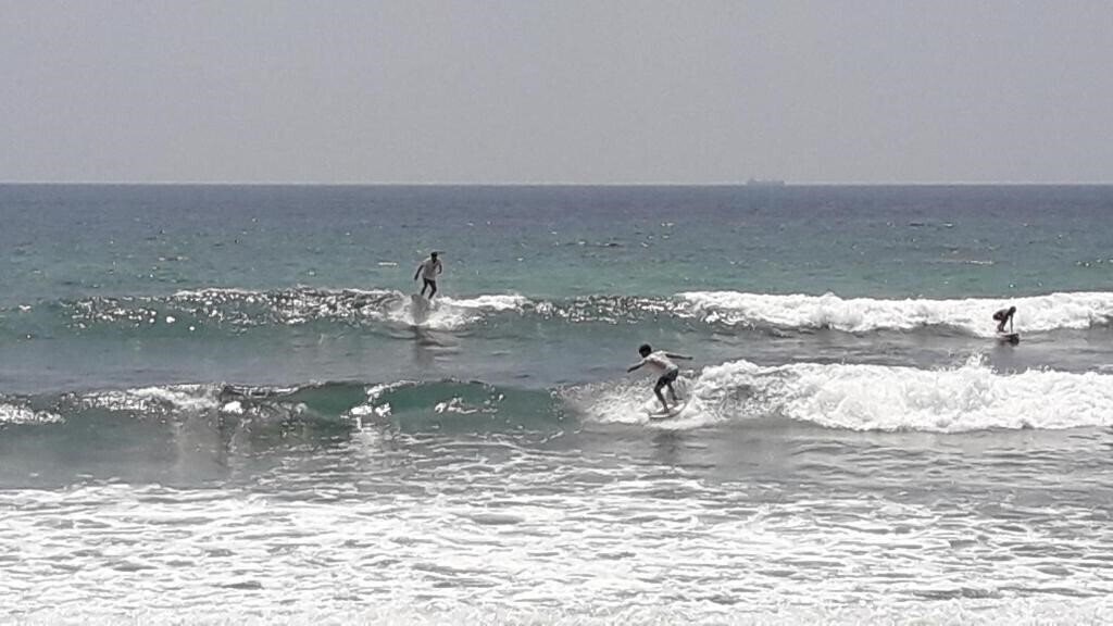 Панорама Margosa Guesthouse гостиный двор