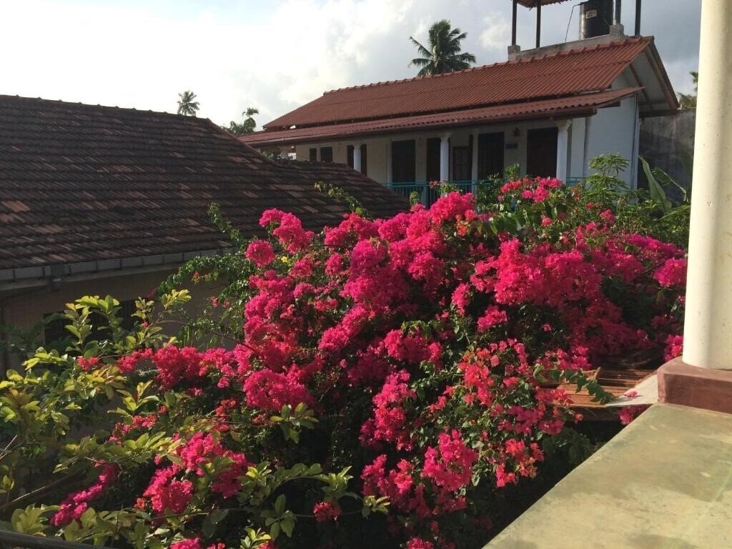 Фотография Sun Rest Mirissa отель без категории