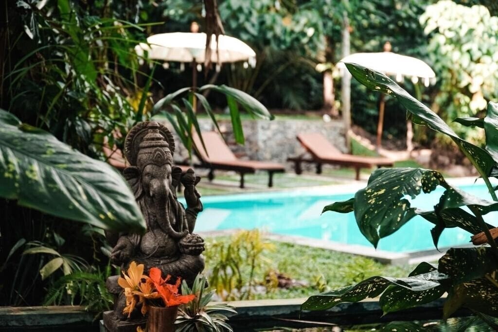 Картинка Surf & Yoga Mirissa отель без категории