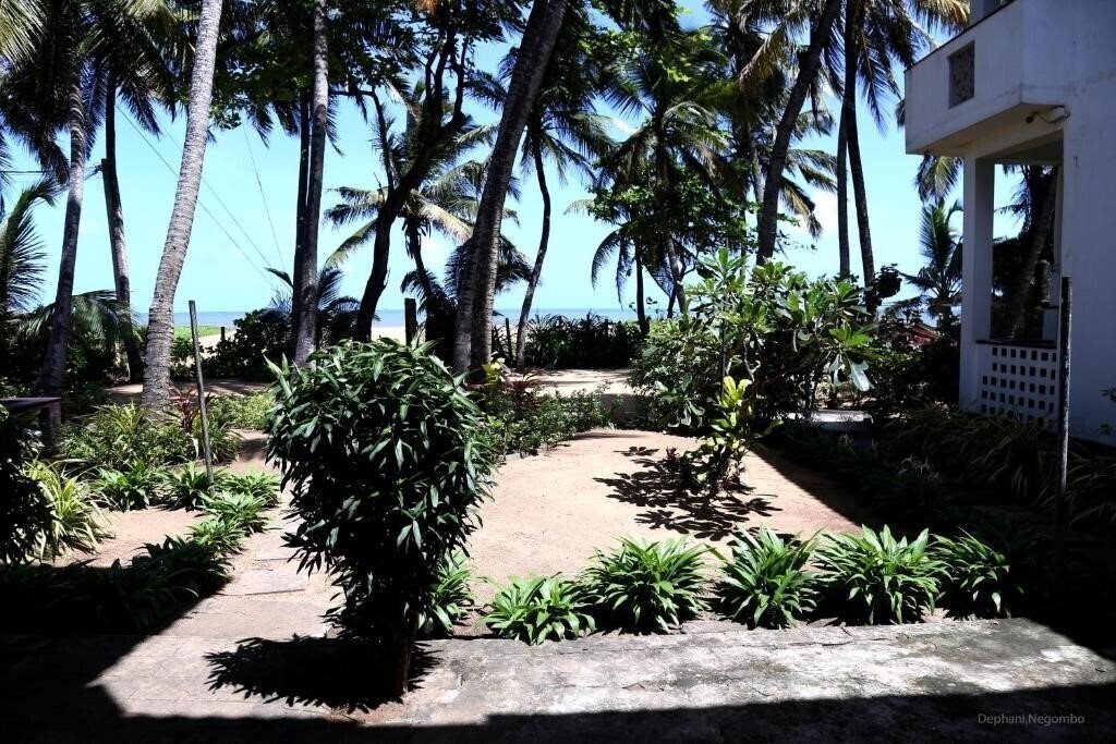 Територія Dephanie Beach Hotel 1*