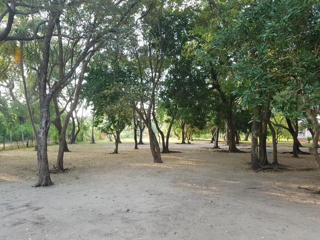 Территория Nilaveli Crystal Blue Hotel 3*