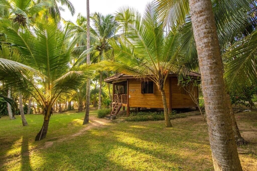 Вид Palm Paradise Cabanas 3*
