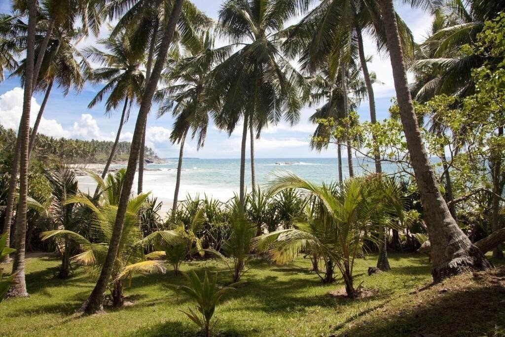 Апартаменты Palm Paradise Cabanas 3*