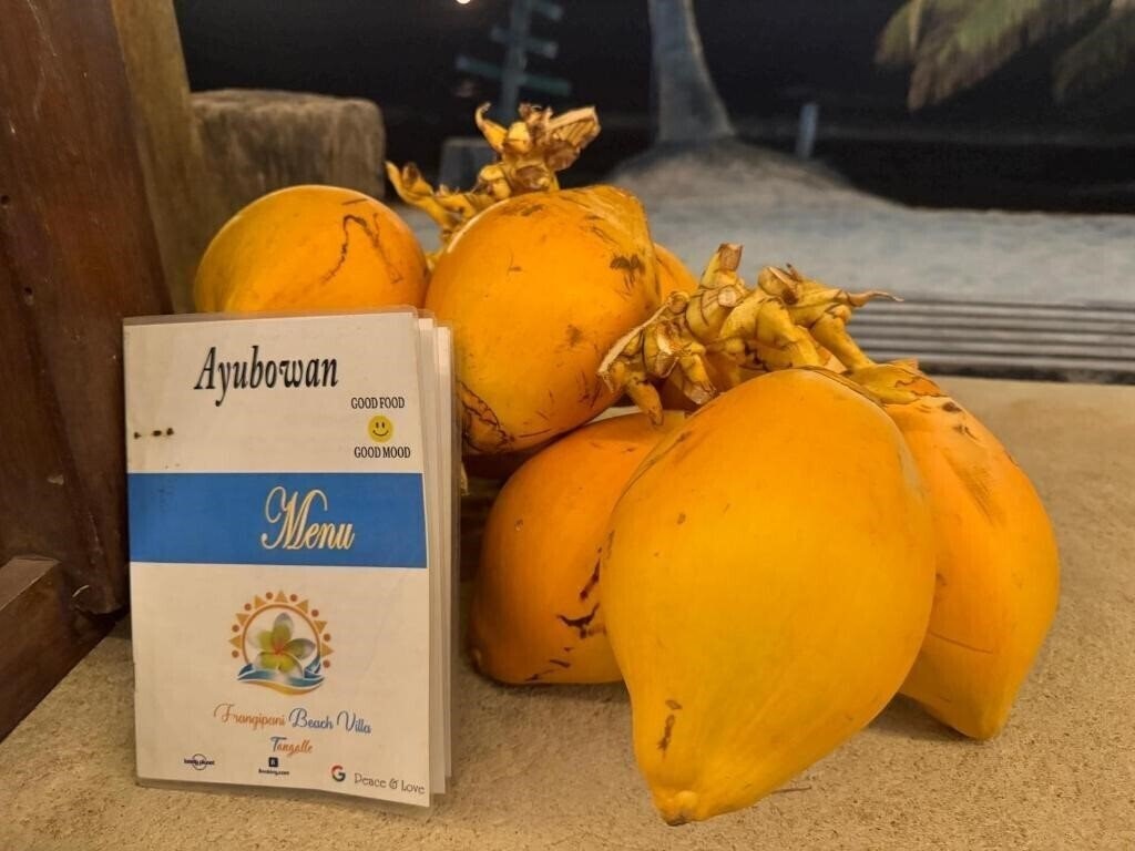 Фотография Frangipani Beach Villa 4*