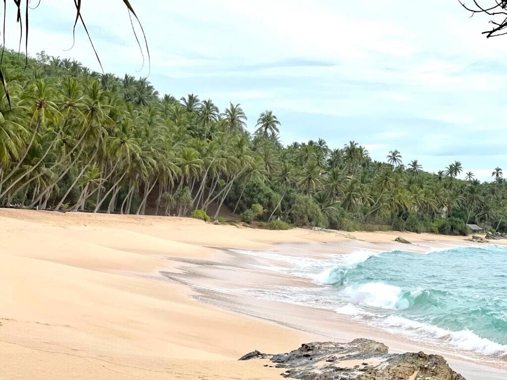 Картинка D Art Villa Retreat & SPA 5*