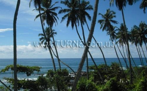 Отель Coco Tangalla отель без категории