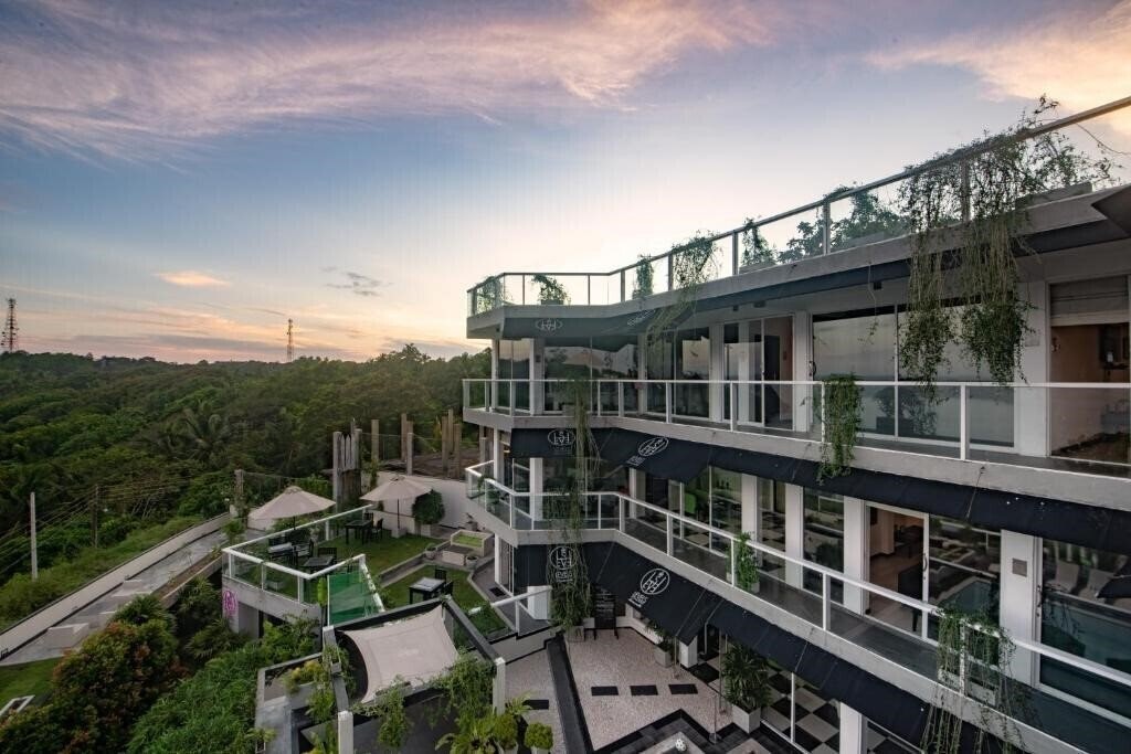 Вид Cantaloupe Levels 4*