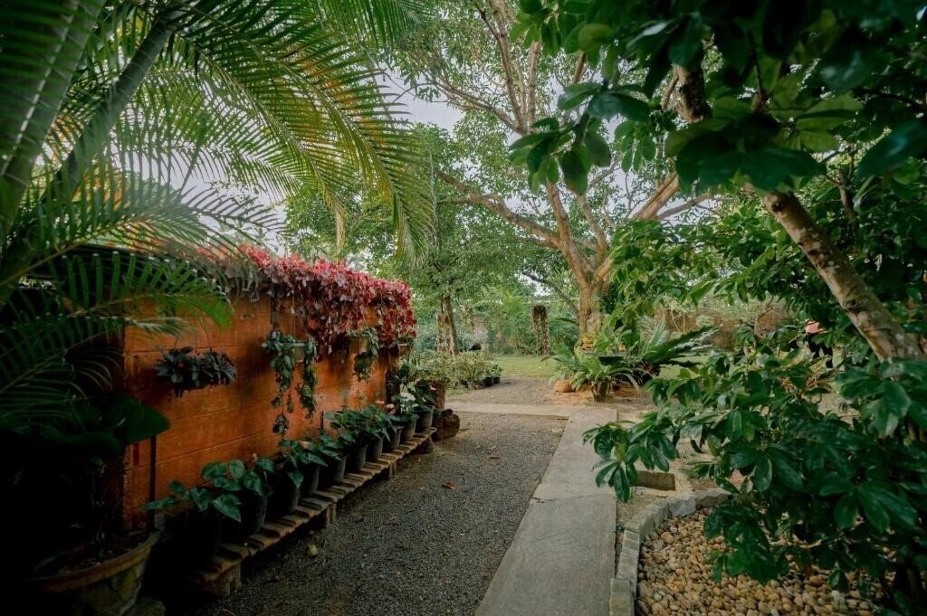 Апартаменти Dandelion Unawatuna Guest House гостиный двор