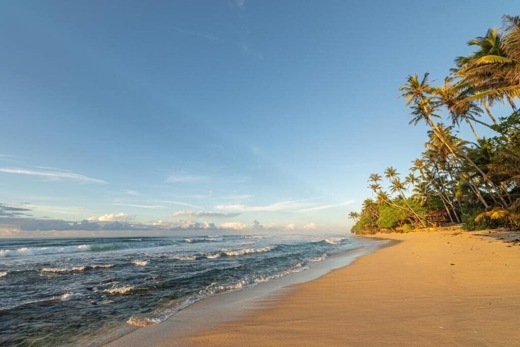 Фотография The Beach Talpe 5*