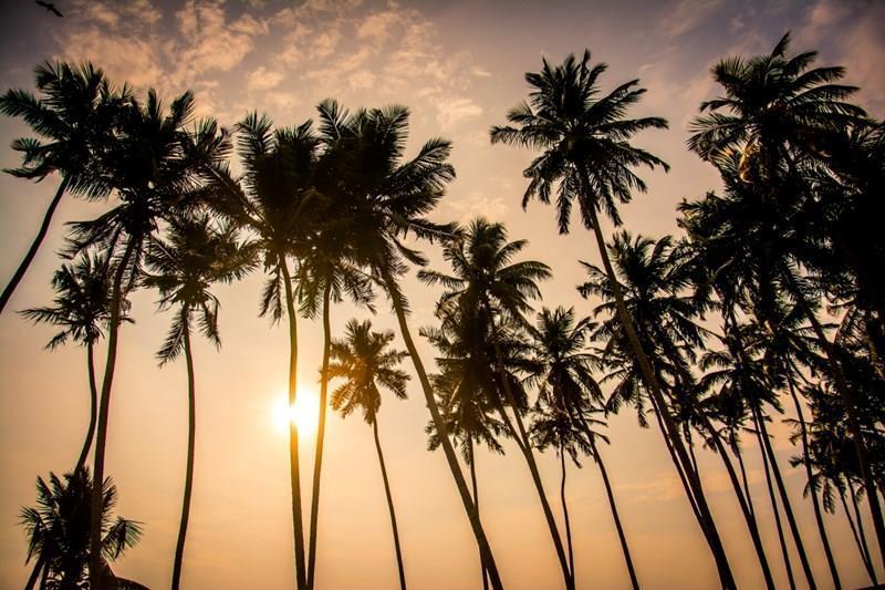 Апартаменты Casa Blue Ripple 4*