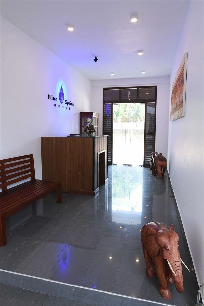 Панорама Blue Spring Hotel 3*