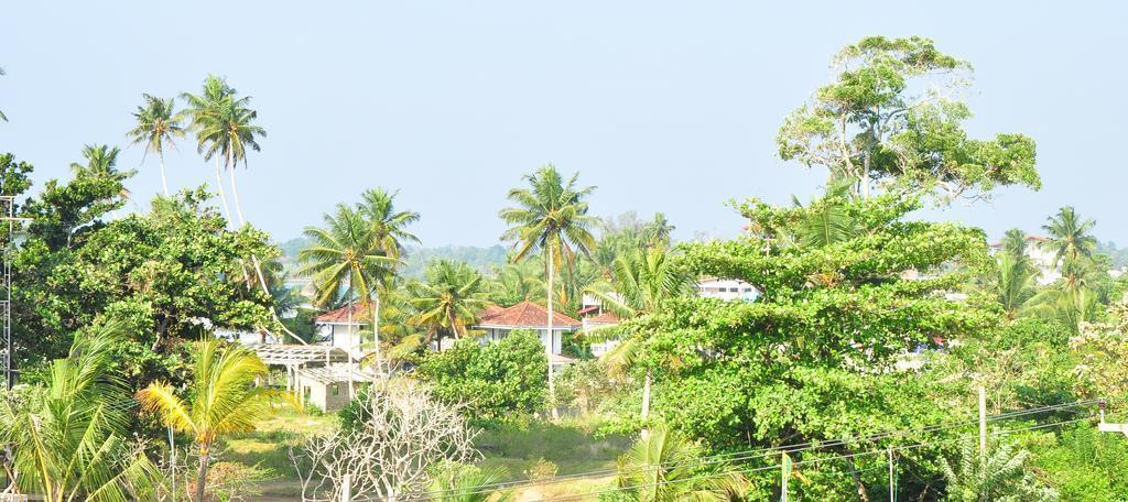 Панорама Brizo Weligama 3*