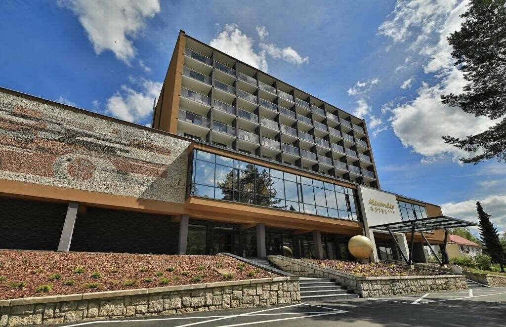 Вид Hotel Alexander 4*