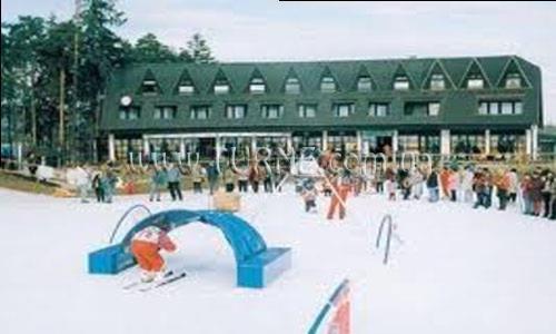 Территория Arena 4*