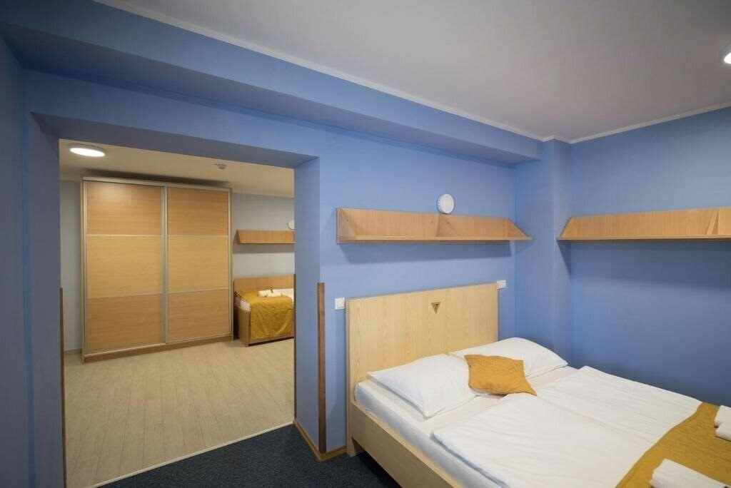 Вид S Hotel Maribor 3*