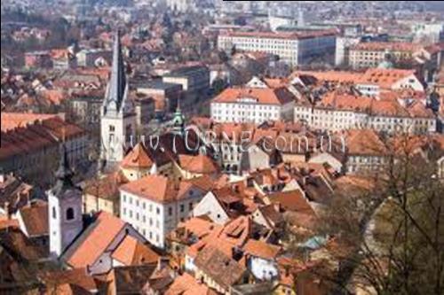 Фотографія Rogla 3*